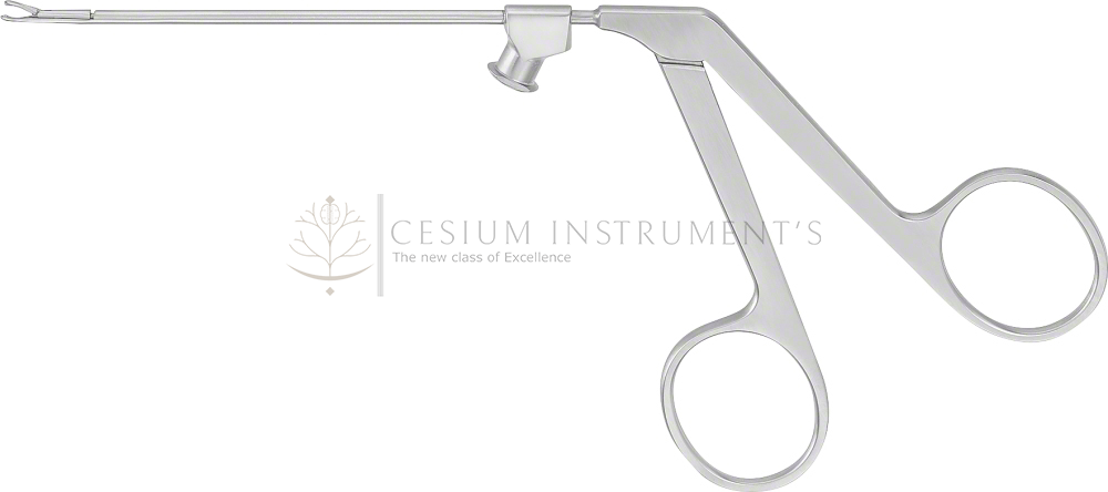 Ear Forceps, straight,