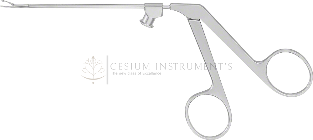  WULLSTEIN Ear Forceps, straight,