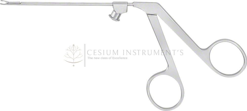 WULLSTEIN Ear Forceps, straight,