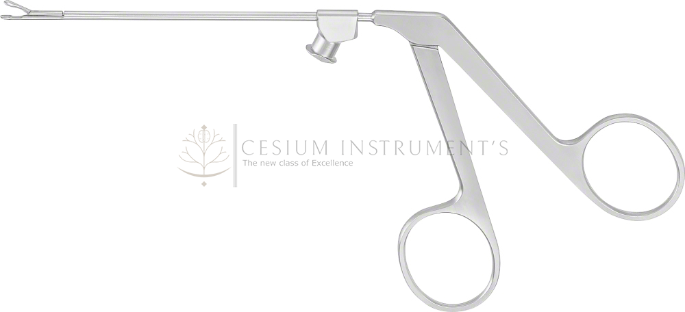  WULLSTEIN Ear Forceps, straight,