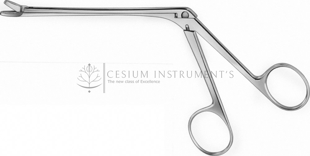  MYLES Conchotome,