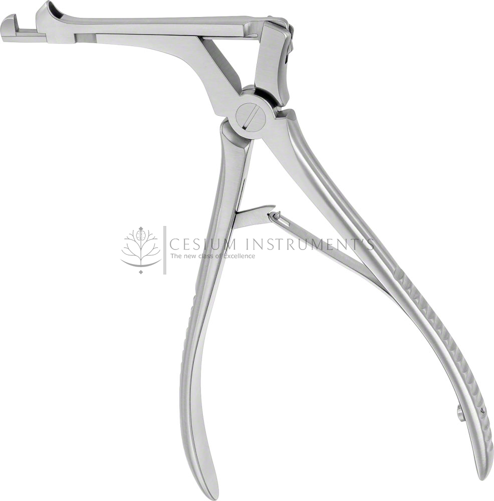  CITELLI Bone Punch,