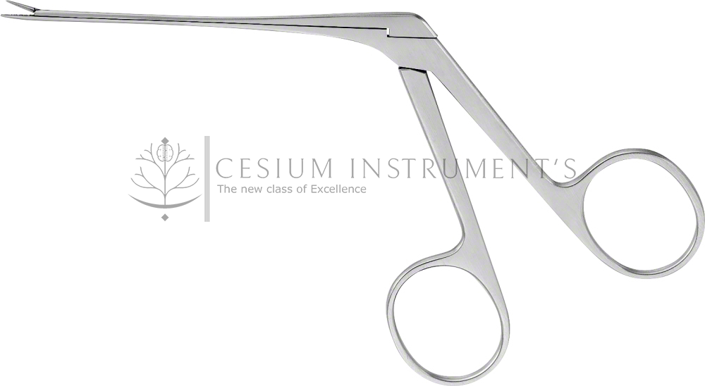  HARTMANN-WULLSTEIN Grasping Forceps (Small), straight,
