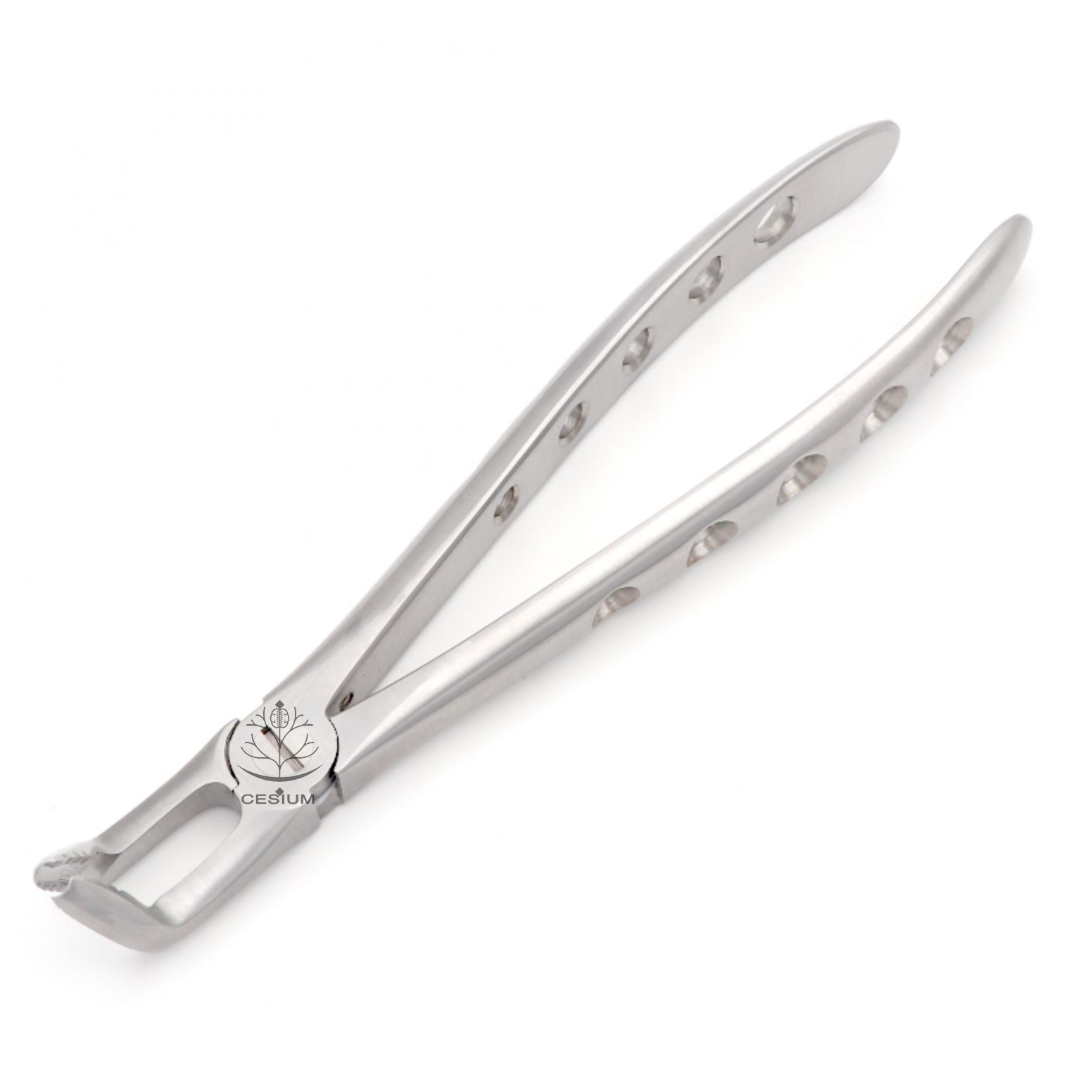 79 GE Forceps